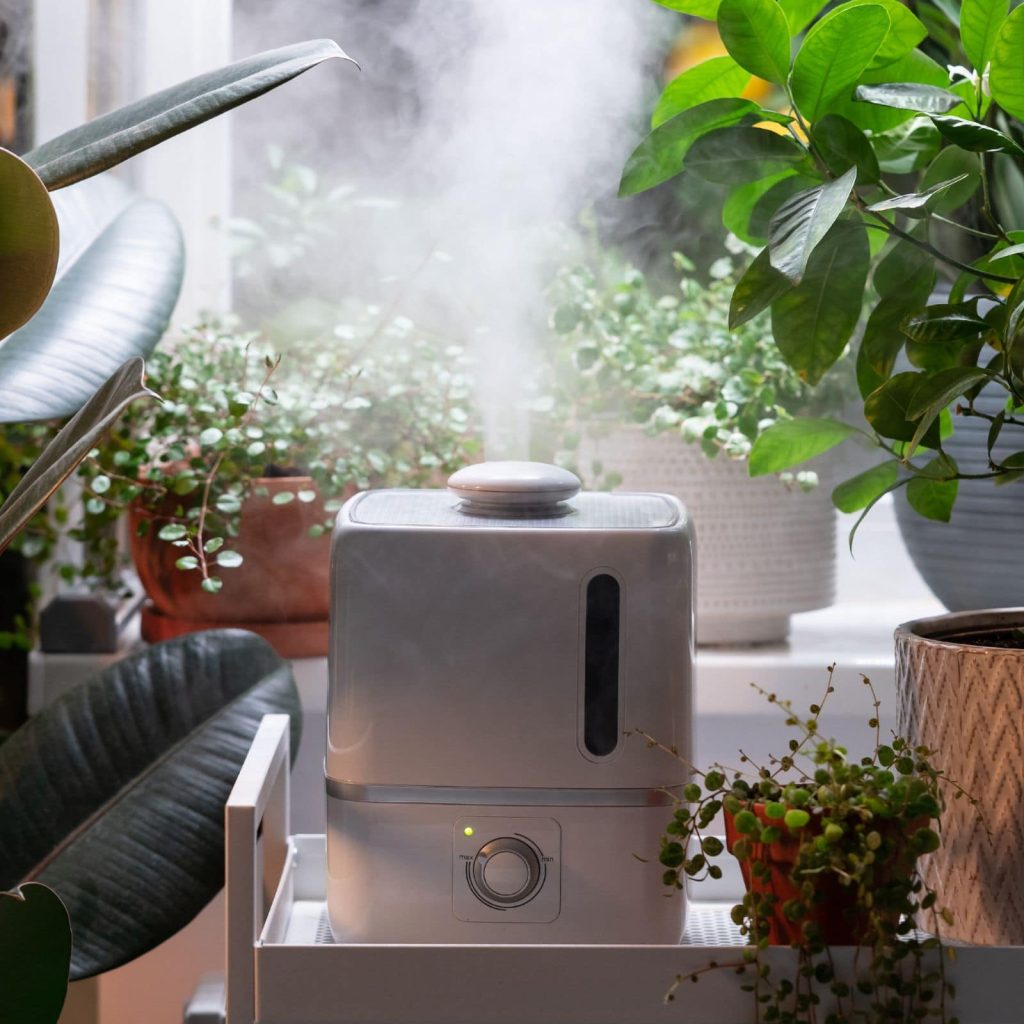 humidifiers for indoor plants